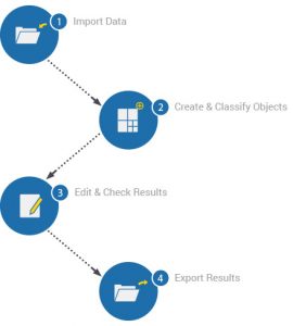 essentials-infographic_0