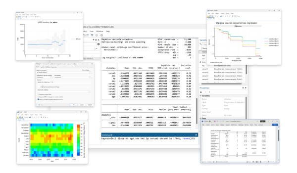 Stata 19.5 for Windows, macOS, and Linux - Image 2