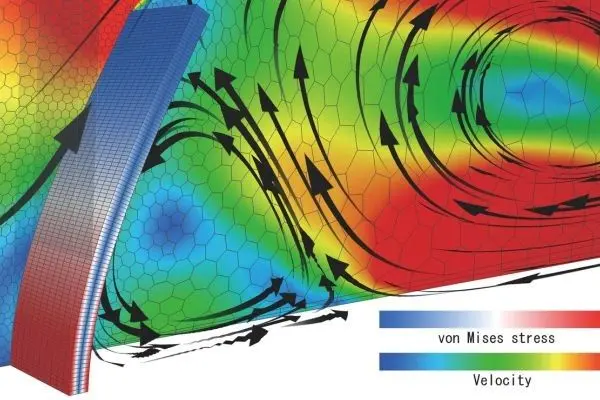 MSC CoSim 2025.1 - Image 4